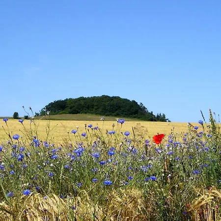 Mit Traumhaftem Meerblick - Haus Am 12 Apartmán *